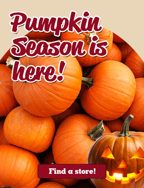 It's pumpkin season at Farm Boy! Come check out our pumpkin collection!