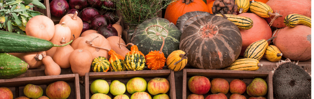 fall produce