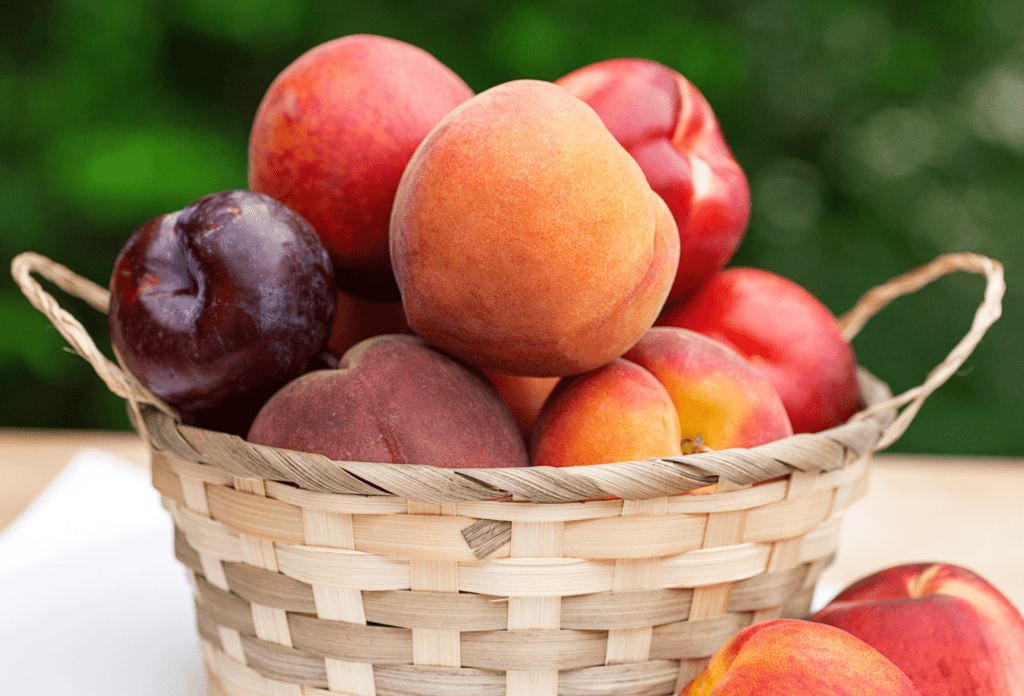 Basket of stone fruit including peaches, nectarines, and plums.