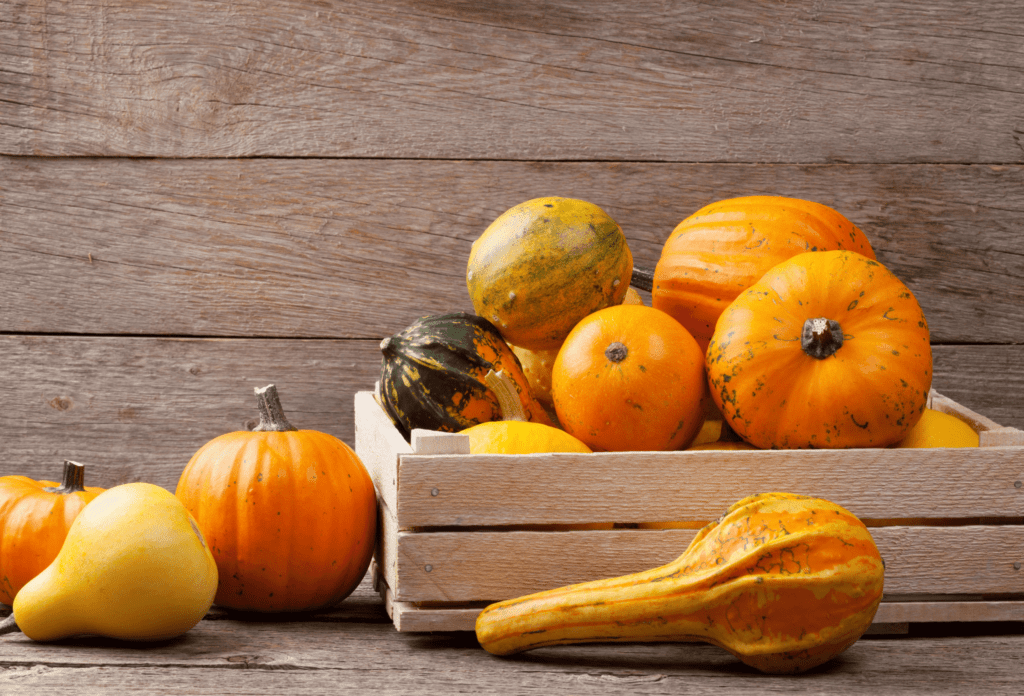 Crate of assorted pumpkins and squash on wooden background