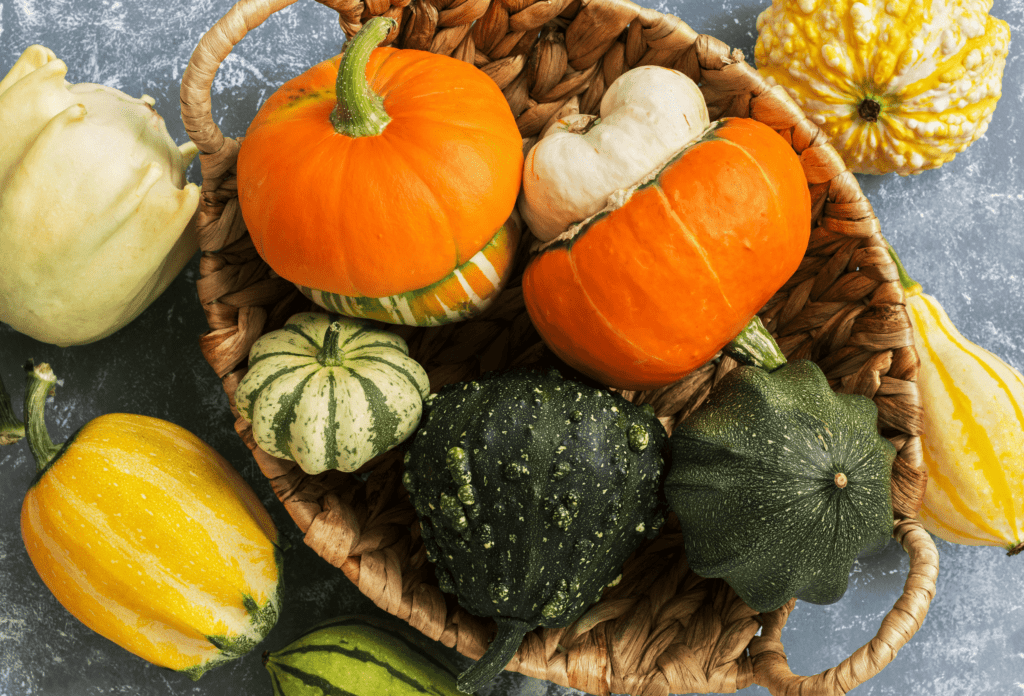 Close-up of a variety of squash and colorful pumpkins in a basket on a gray background. View from above, flat lay.