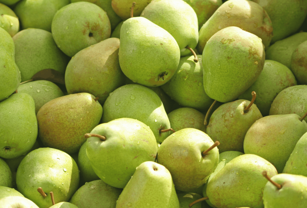 Pile of pears