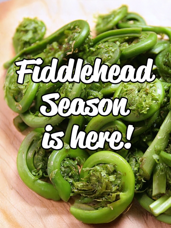 Fiddlehead Season is here at Farm Boy! Click to find your store.