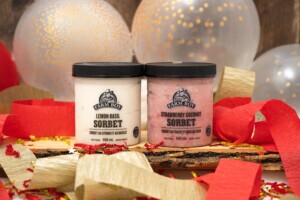 Fave Plant-Based Bite: Farm Boy Sorbet
