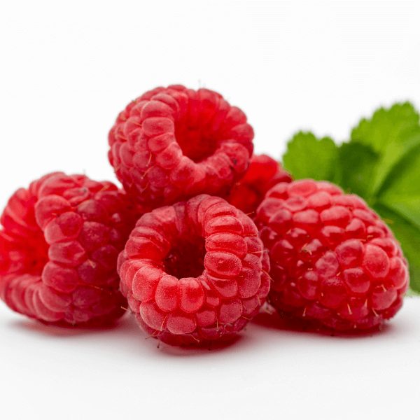 Close up of five raspberries on a white background.