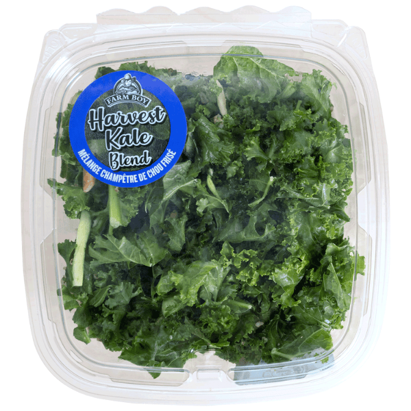 Fresh Harvest Kale Salad blend in container