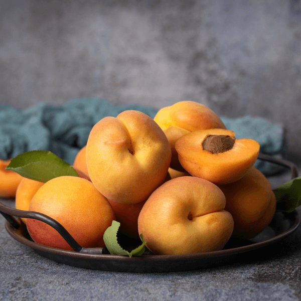 Sweet, juicy, ripe apricots (stone fruits) in a metal bowl on a gray background. Whole fruits, halves of apricots, fruits with leaves