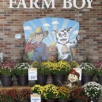 Farm Boy store entrance with a fall display.