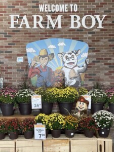 Farm Boy store entrance with a fall display.