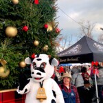 Farm Boy's Lulu the cow and a farm hand standing beside a huge Christmas tree.