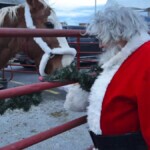 Santa feeding a horse.