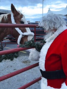 Santa feeding a horse.