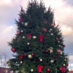 Close up of the huge Christmas tree.