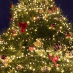 Night shot of the huge Christmas tree all lit up at night.