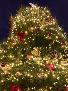 Night shot of the huge Christmas tree all lit up at night.