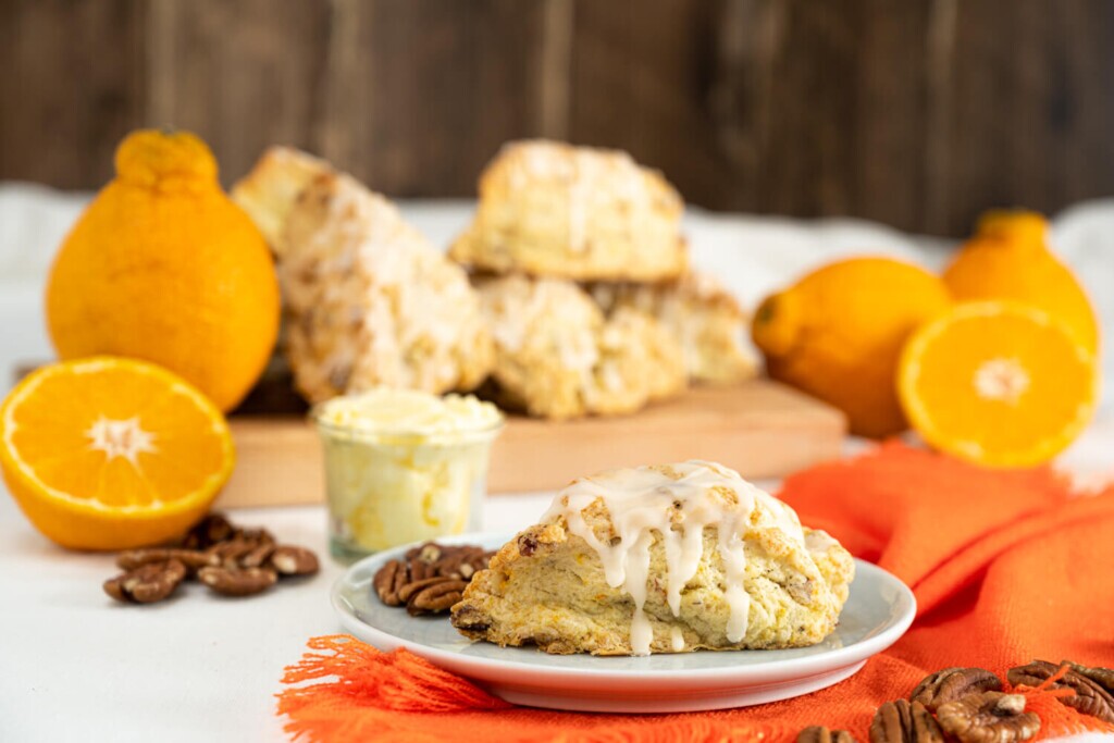 Plate with a pecan and sumo citrus scone drizzled with glaze. In the background is fresh sumo citrus, pecans, and more scones for brunch.