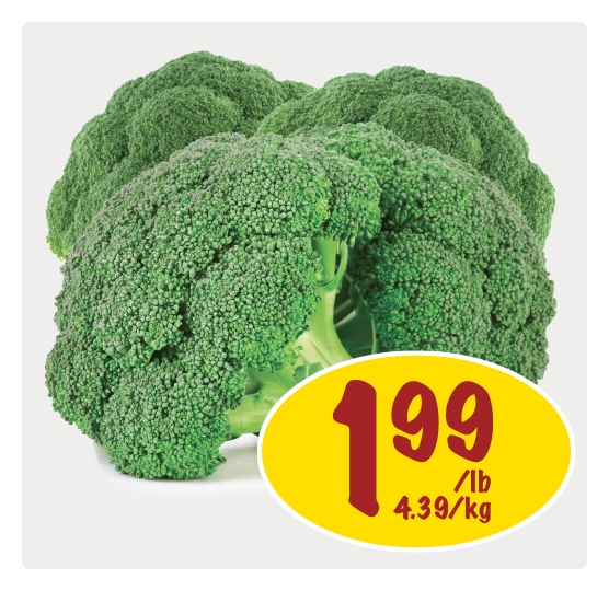 P12W5 Weekly Special