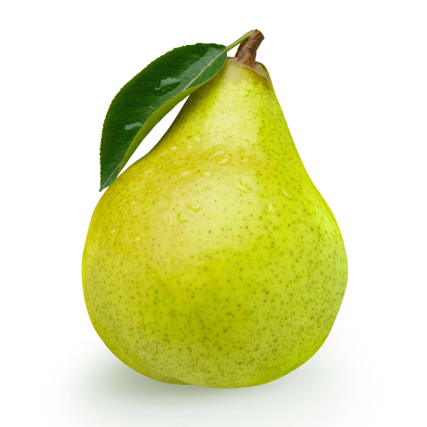 Bartlett pear on white background