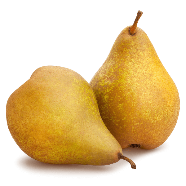 bosc pears path isolated on white