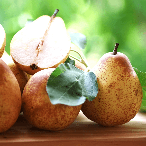 Portuguese Rocha pears and leaves on table