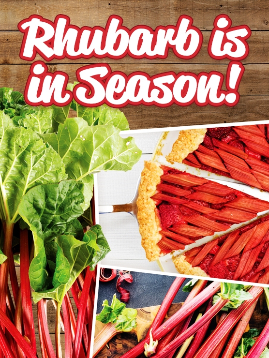 Rhubarb season is here
